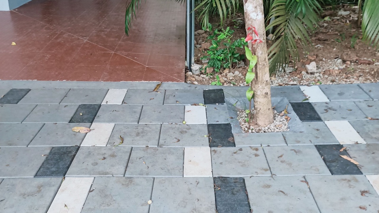 Photo of Outdoor in Varkala