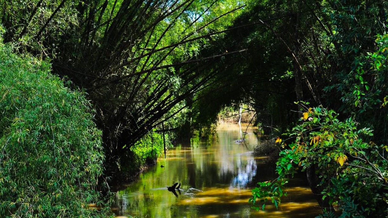 Photo of Outdoor in Mananthavady