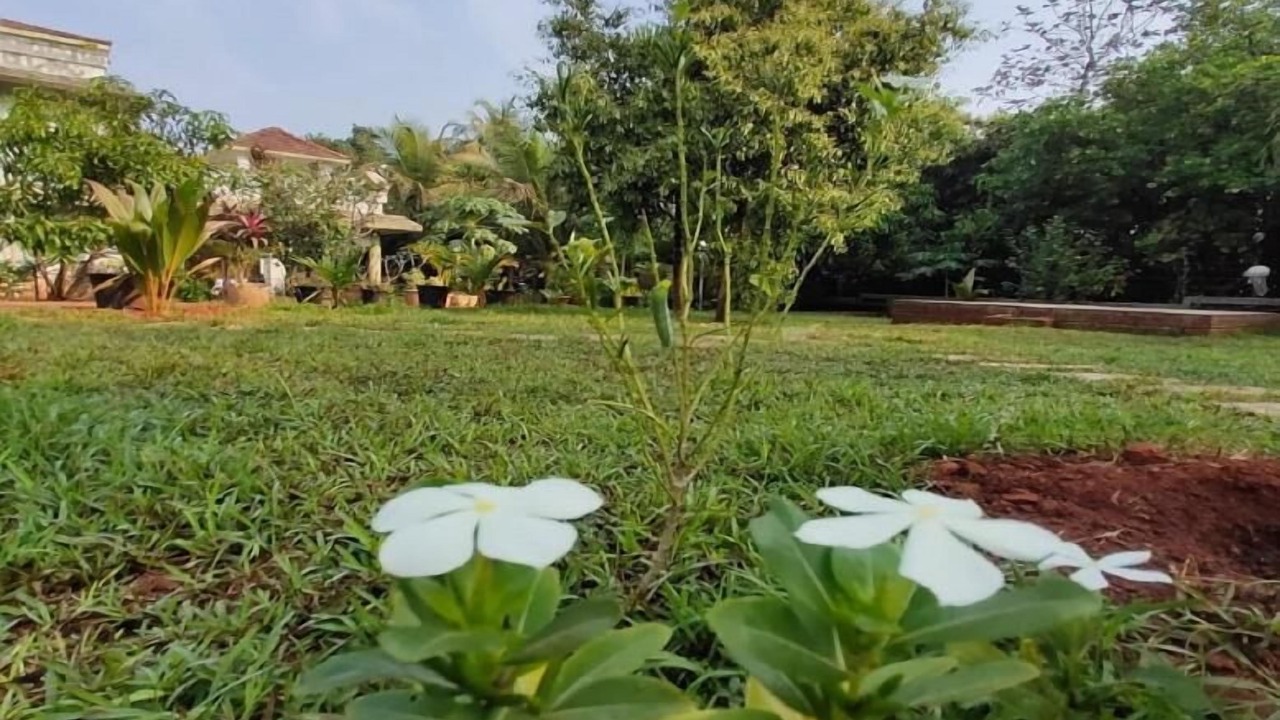 Photo of Outdoor in Chiplun