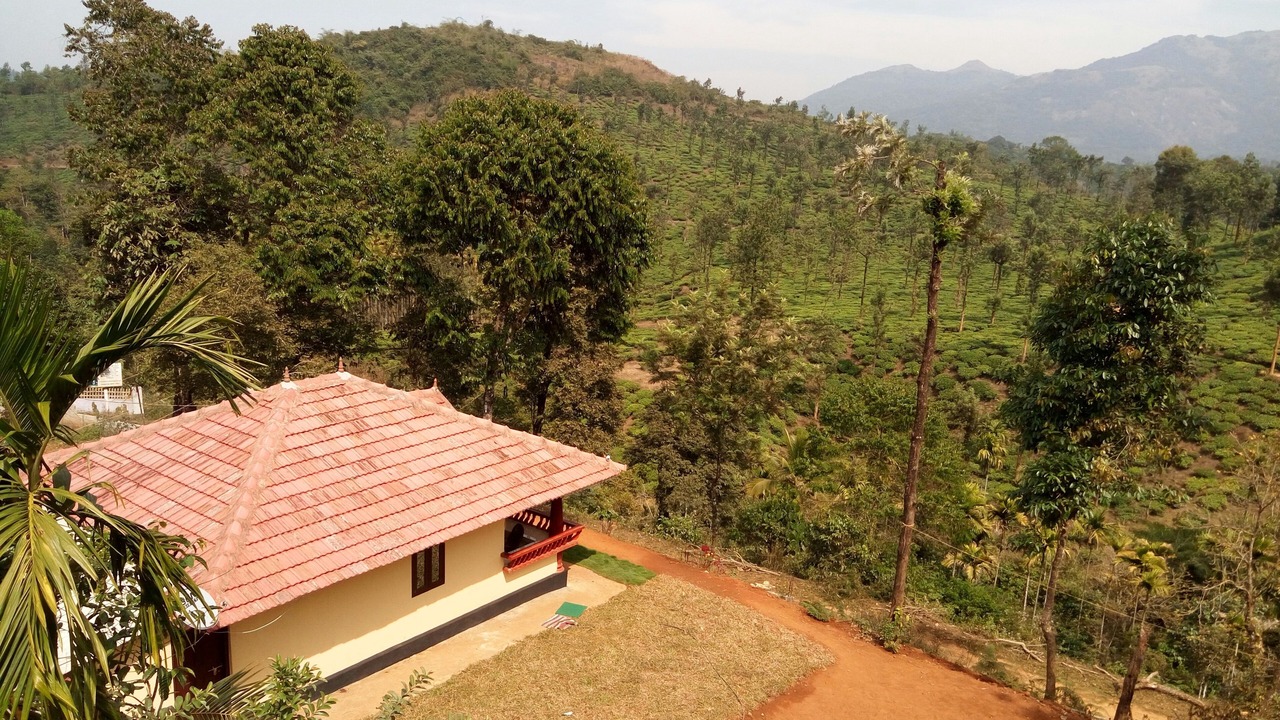 Photo of Outdoor in Kalpetta