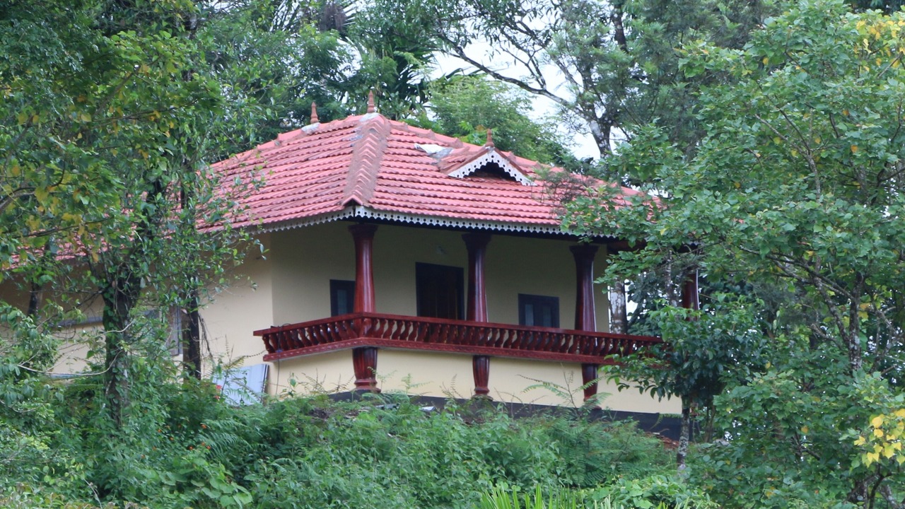 Photo of Outdoor in Kalpetta