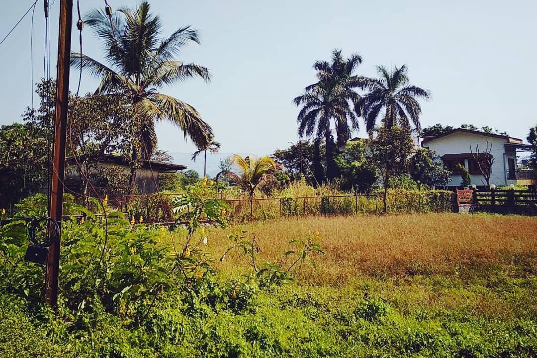 Photo of Others in Lonavala