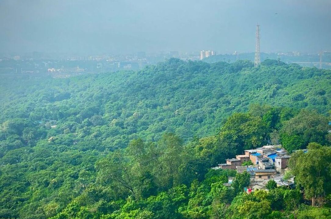 Photo of Others in Aarey Colony