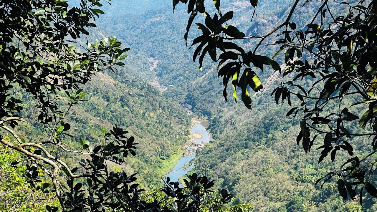 Photo of Others in Todupulai