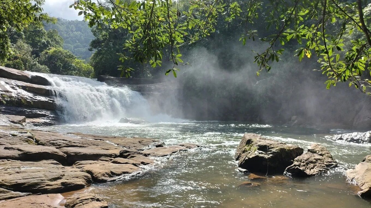 Photo of Others in Todupulai