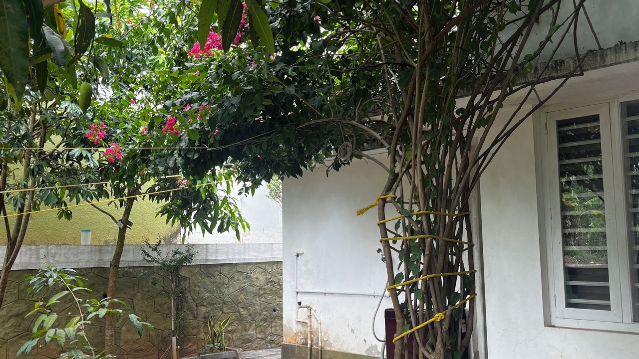 Photo of Outdoor in Kalpetta
