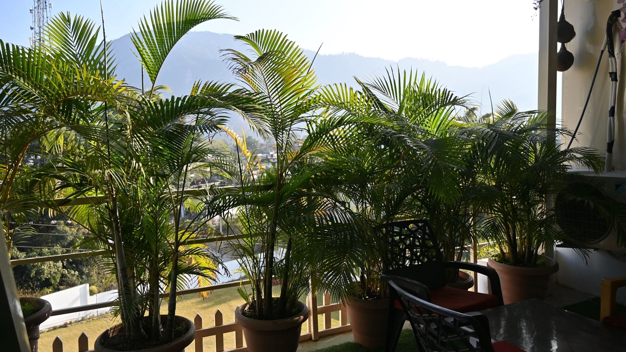 Photo of Patio Balcony in Bullawala