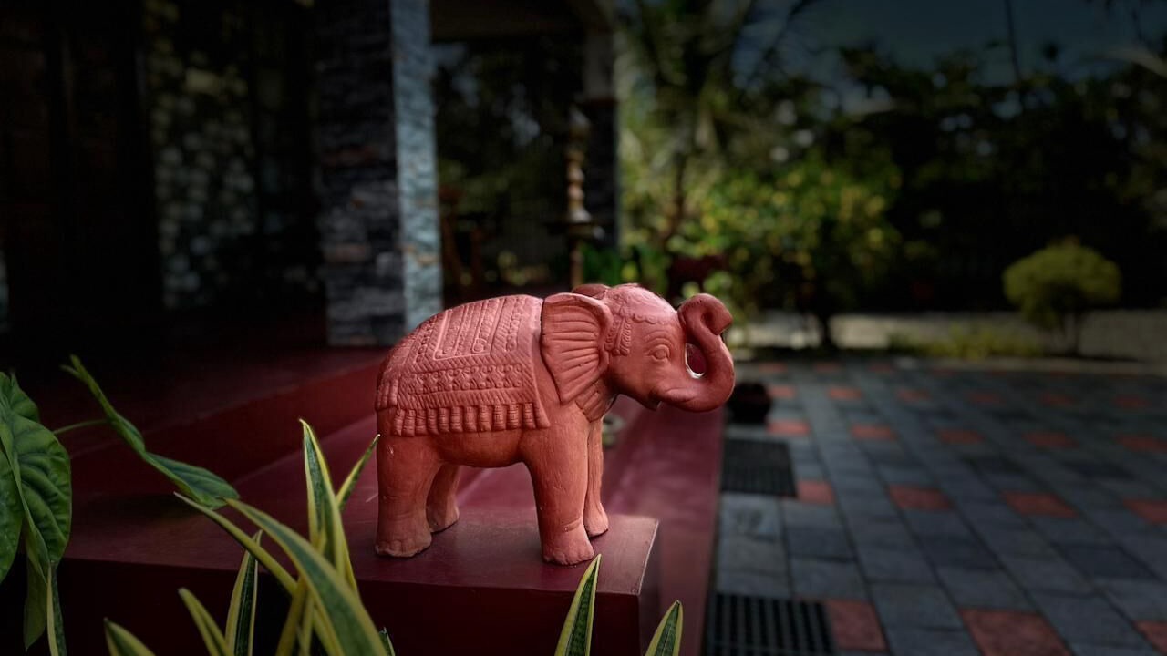 Photo of Outdoor in Mararikulam