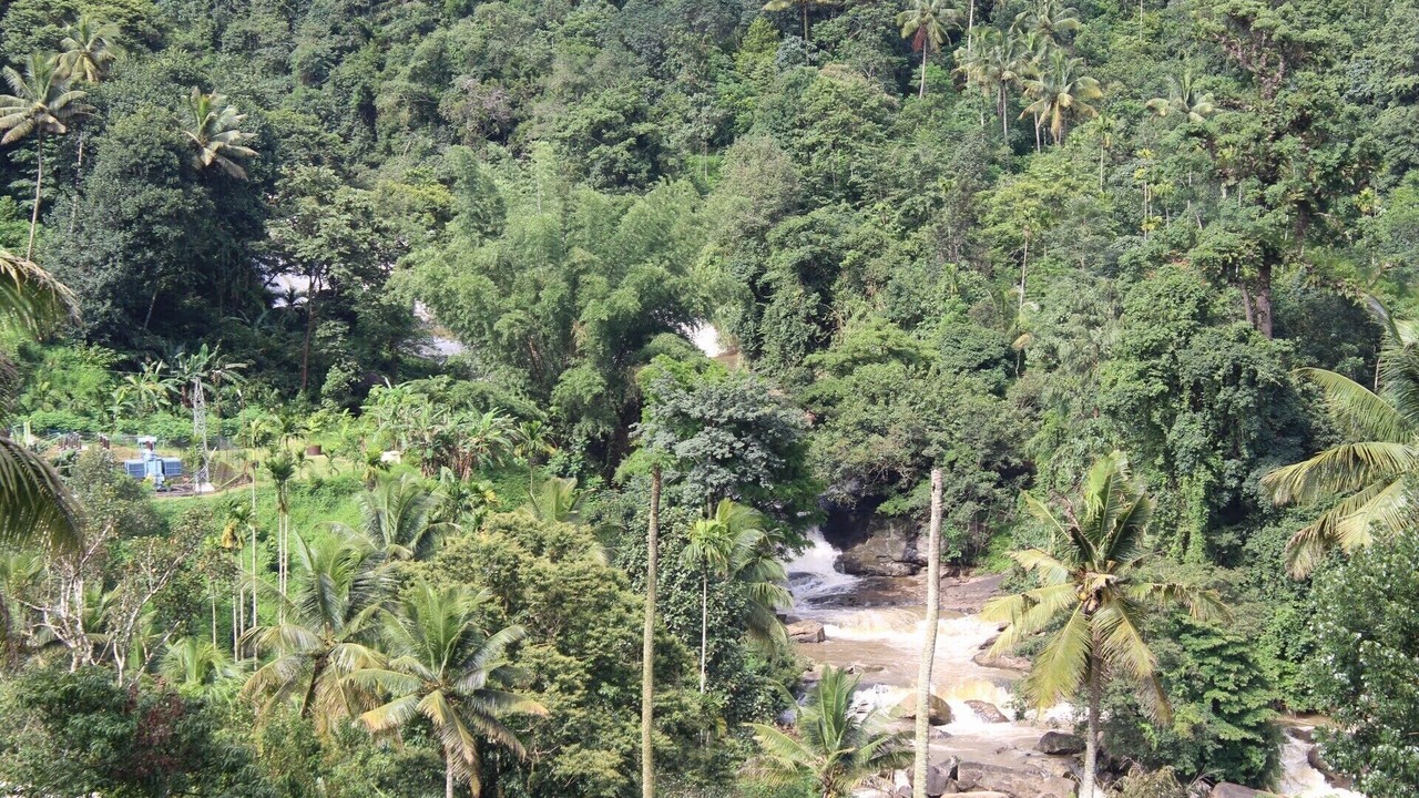 Photo of Others in Devikolam