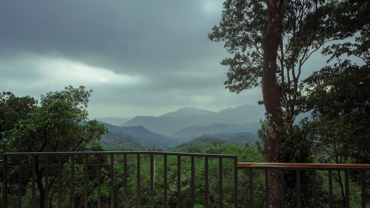 Photo of Outdoor in Talipparamba