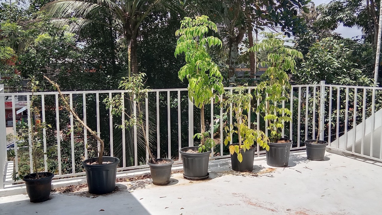 Photo of Outdoor in Kozhikode
