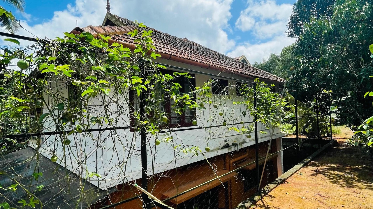 Photo of Outdoor in Vayittiri