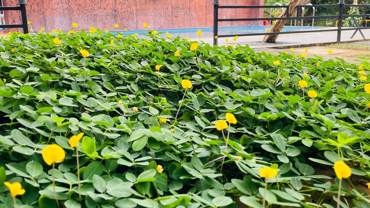 Photo of Outdoor in Vayittiri