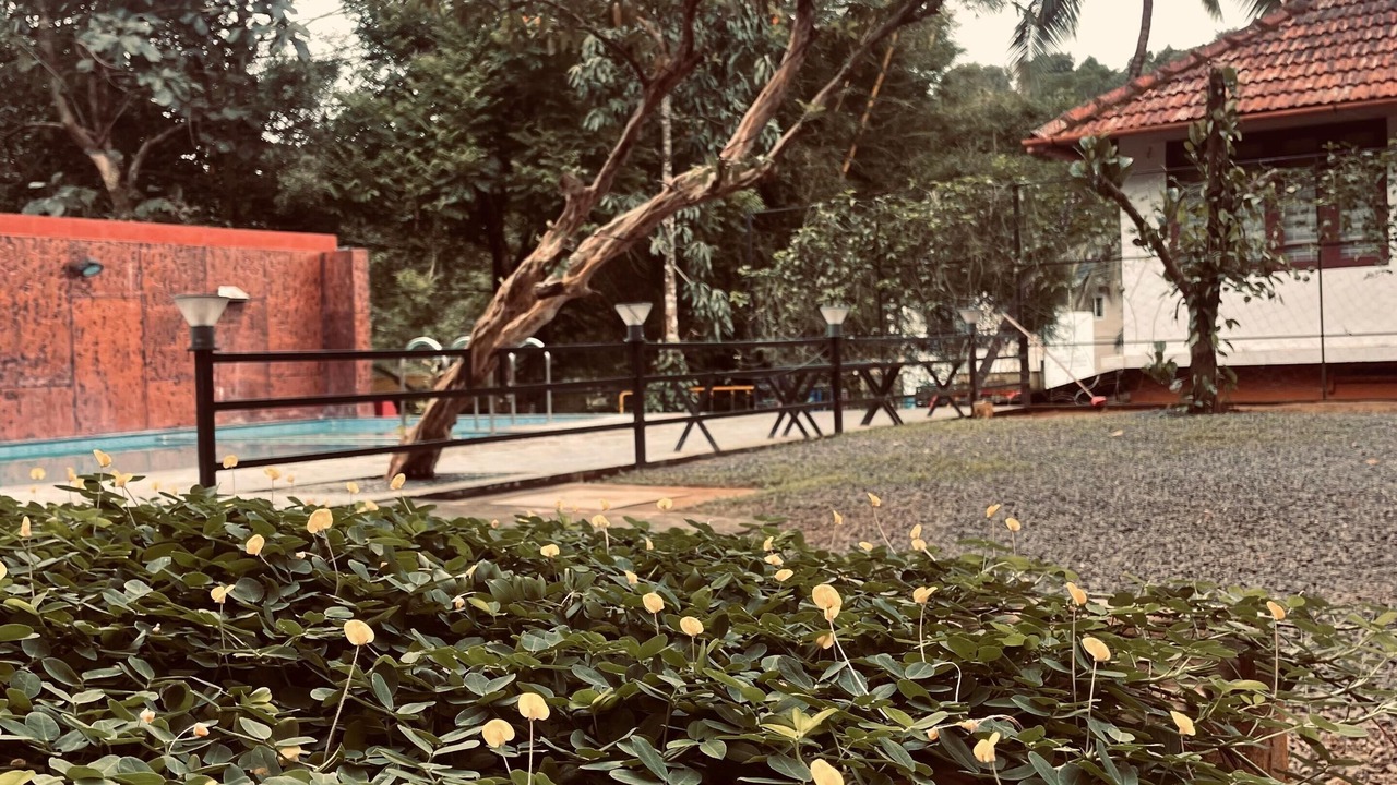 Photo of Outdoor in Vayittiri