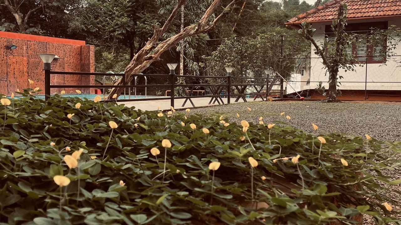 Photo of Outdoor in Vayittiri