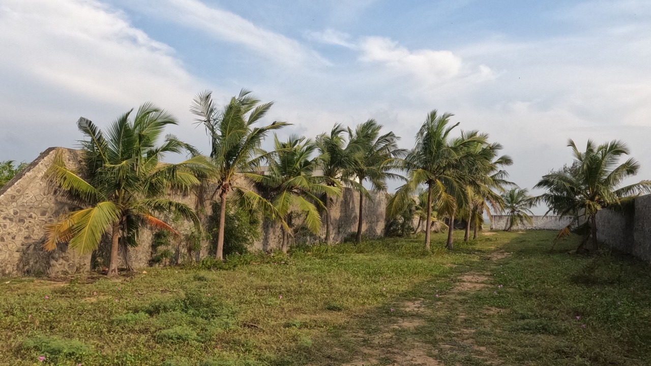 Photo of Outdoor in Cheyyur