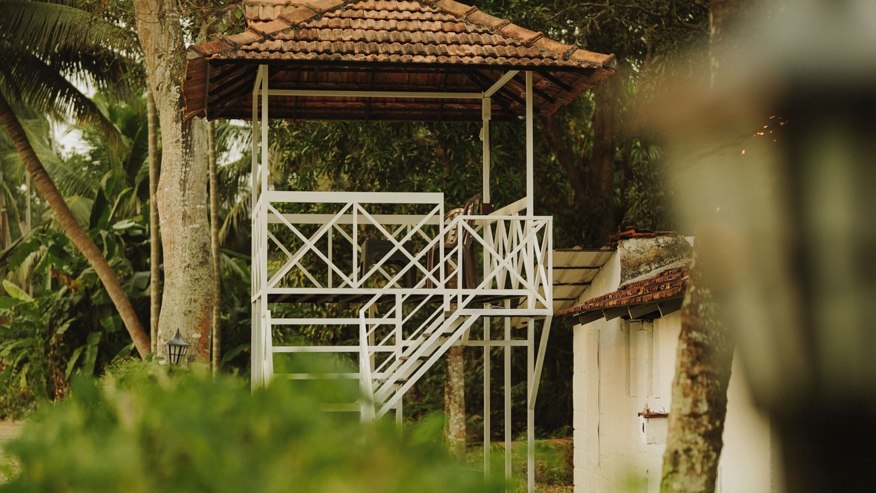 Photo of Others in Nedumudy