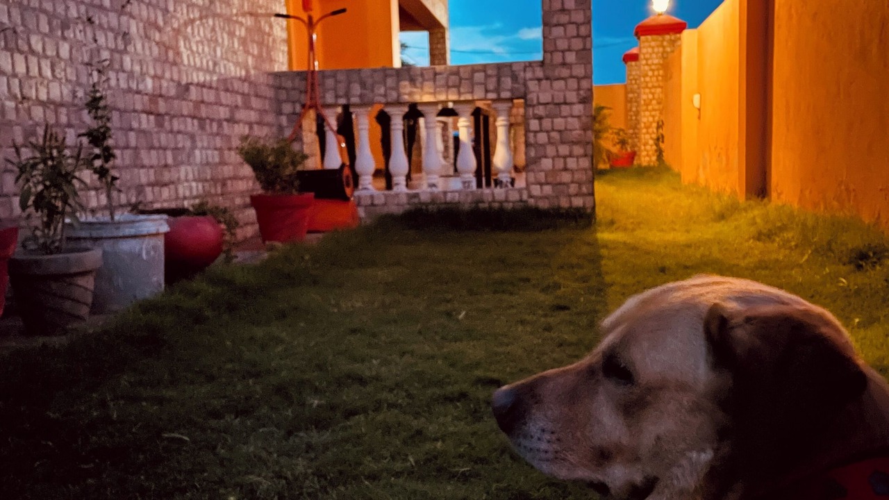 Photo of Outdoor in Bullawala