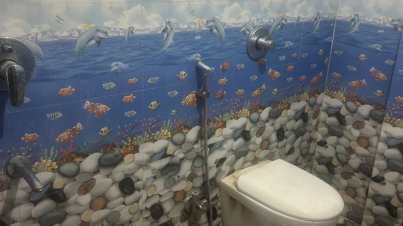 Photo of Bathroom in Phase 1