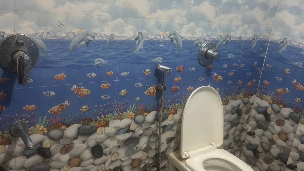Photo of Bathroom in Phase 1