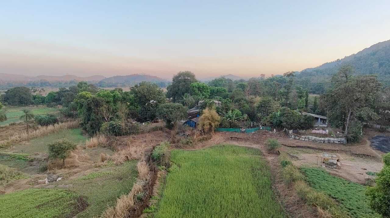 Photo of Outdoor in Palghar