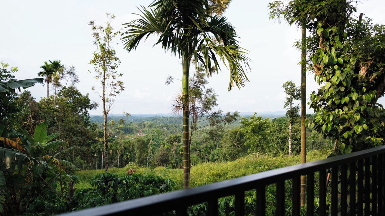 Photo of Outdoor in Kalpetta