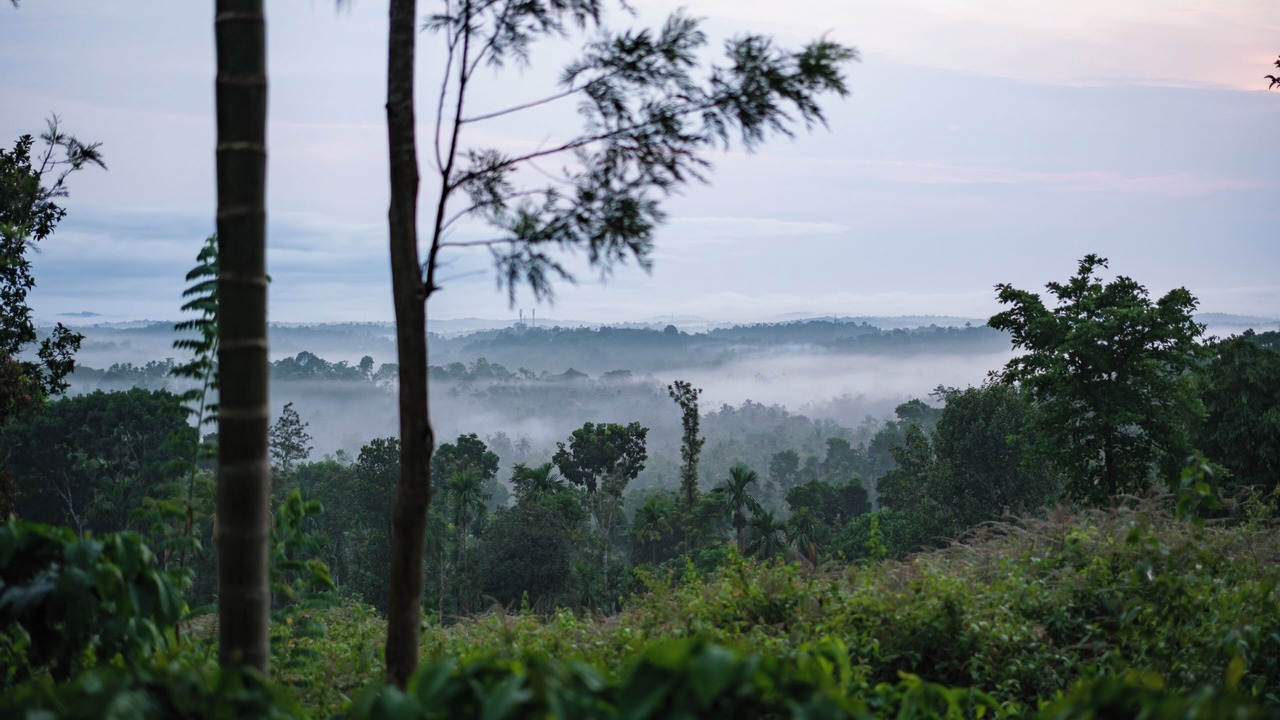 Photo of Others in Kalpetta