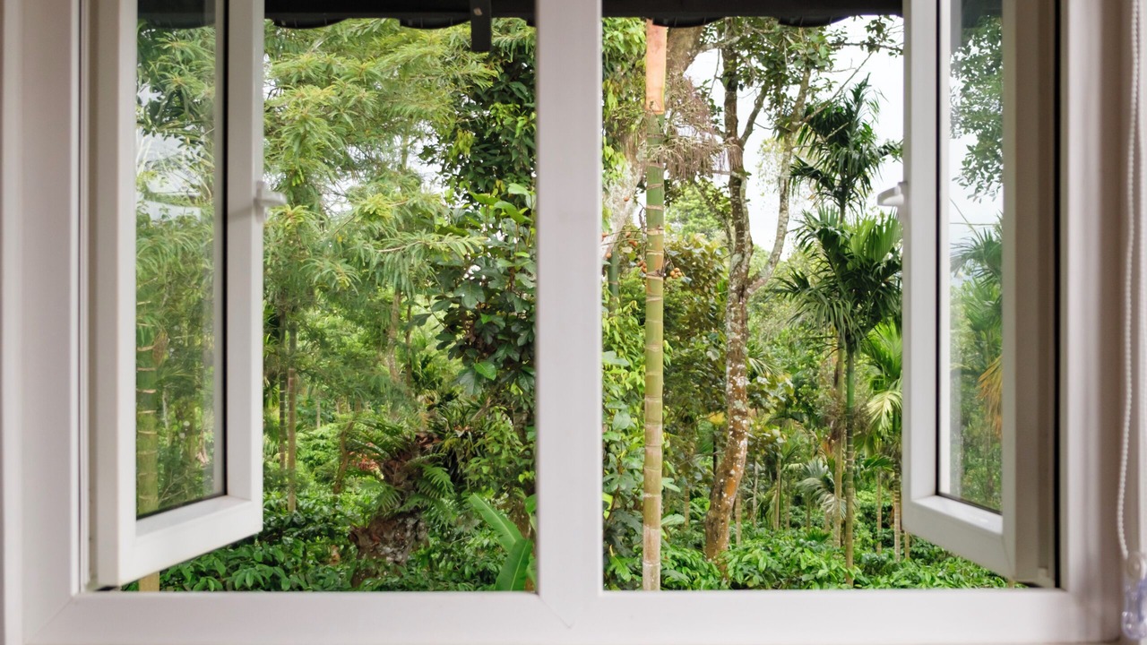 Photo of Others in Kalpetta