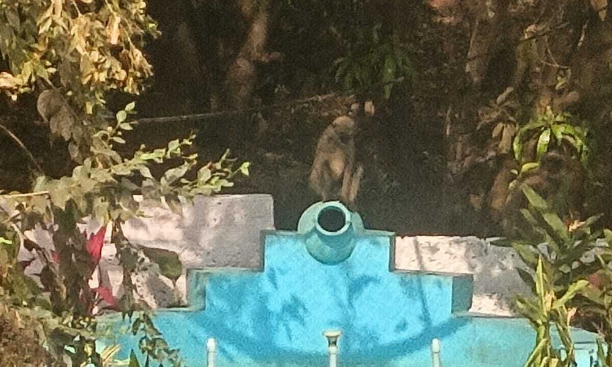 Photo of Outdoor in Ratnagiri