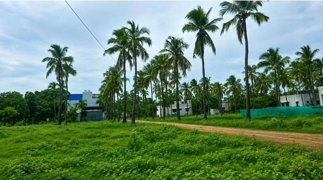 Photo of Others in Melur