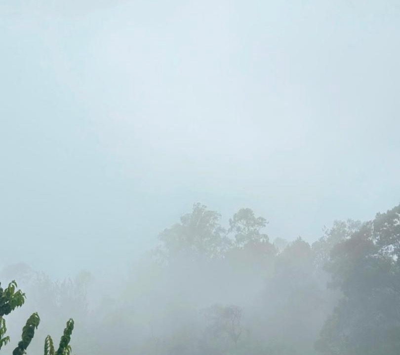 Photo of Others in Kodaikanal