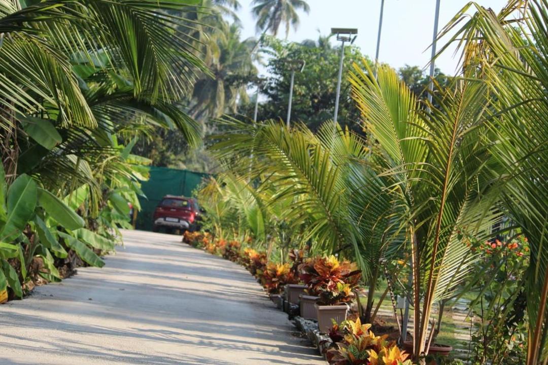 Photo of Others in Alibaug