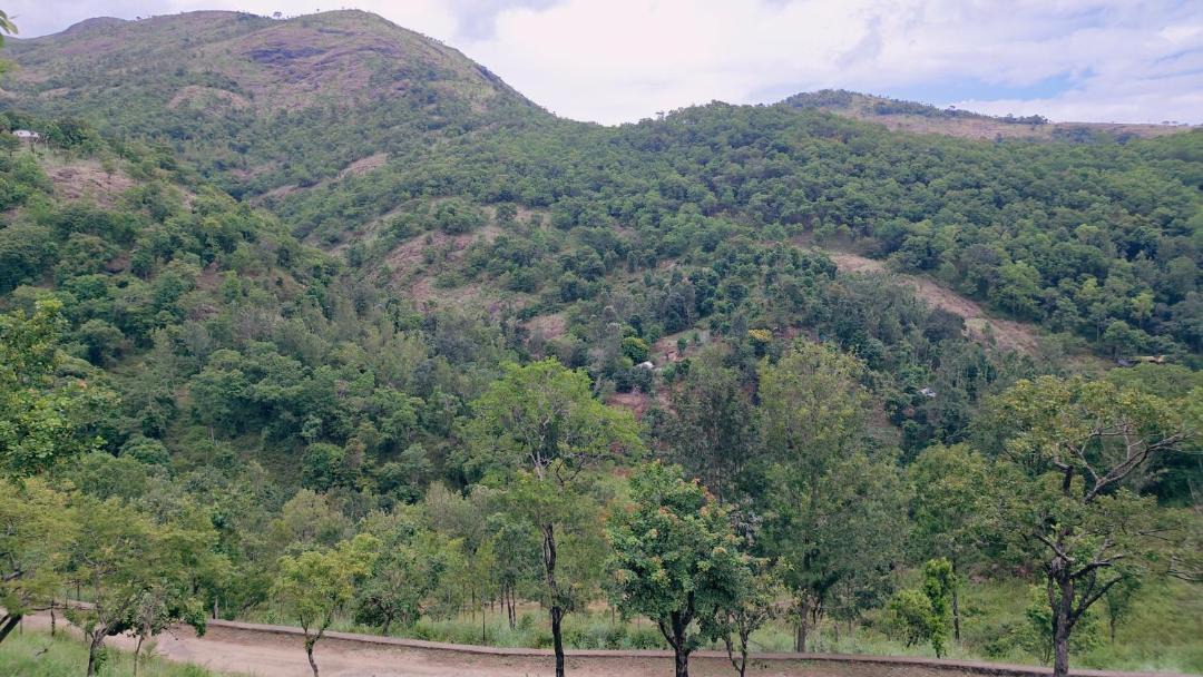 Photo of Others in Kodaikanal