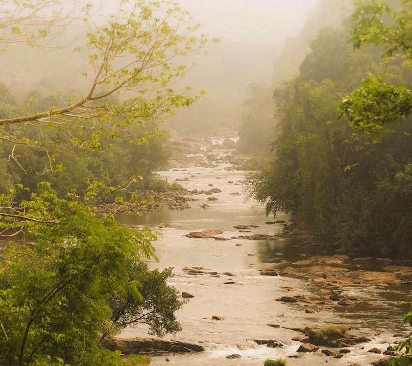 Photo of Others in Athirapally