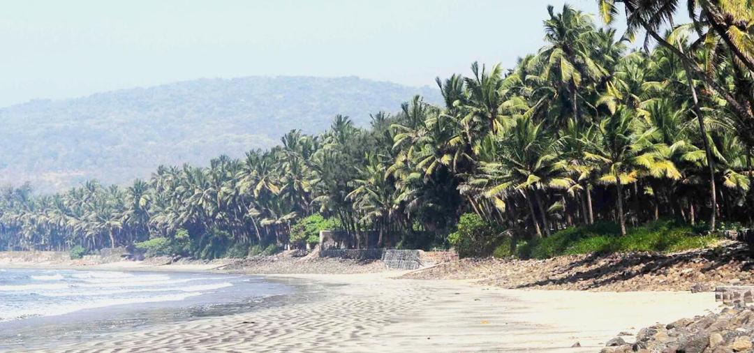 Photo of Others in Murud