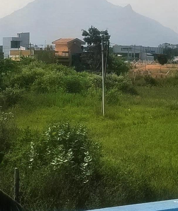 Photo of Others in Tiruvannamalai