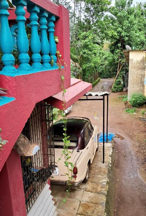 Photo of Others in Akshi