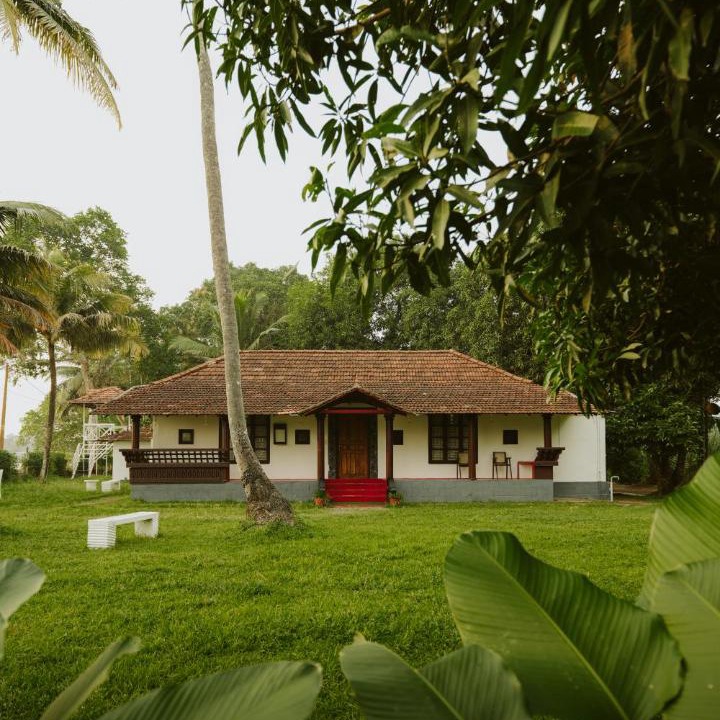 Photo of Others in Nedumudy