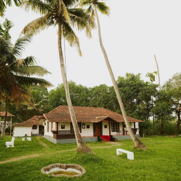 Photo of Others in Nedumudy