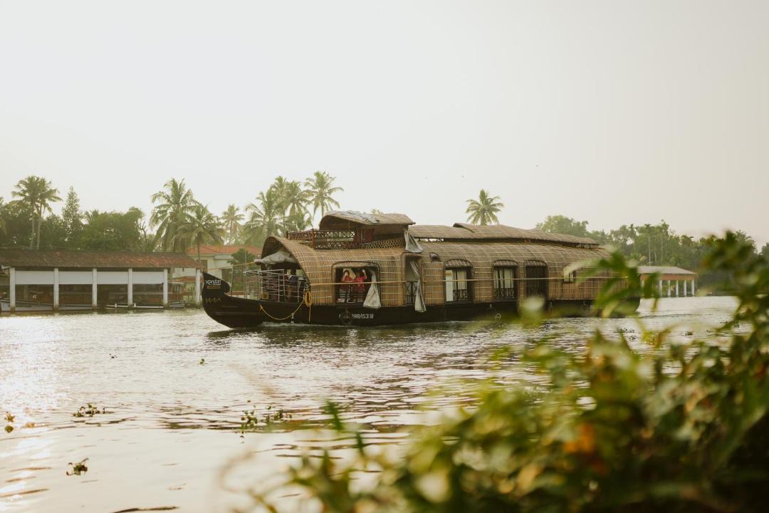 Photo of Others in Nedumudy