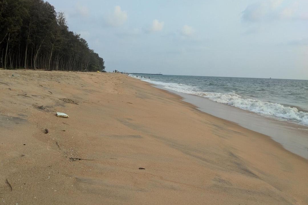 Photo of Others in Kodungallur