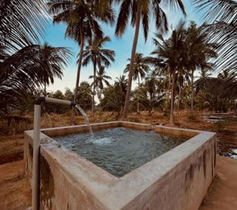 Photo of Others in Pudukkottai
