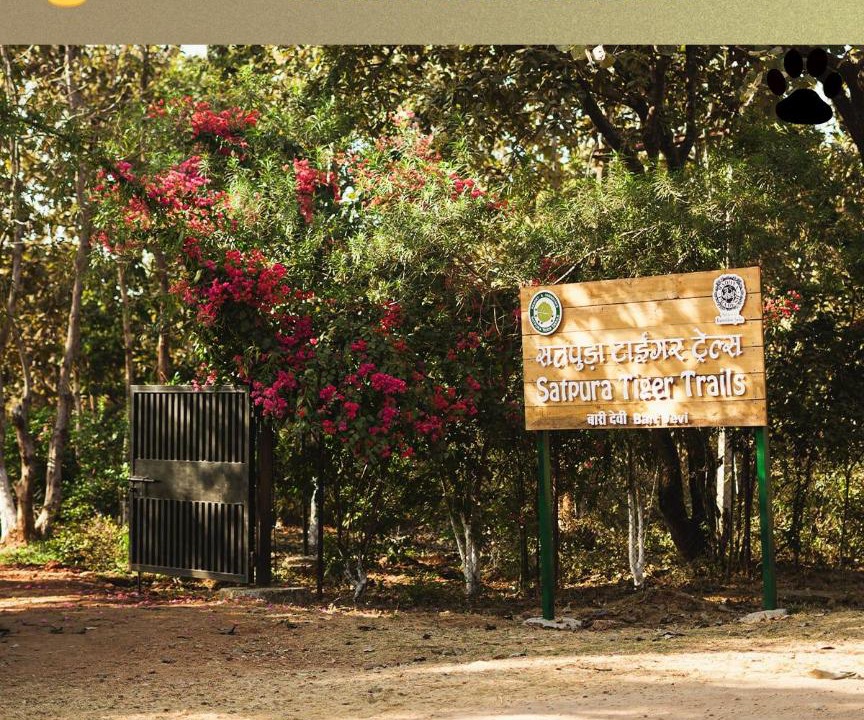 Photo of Others in Piparia