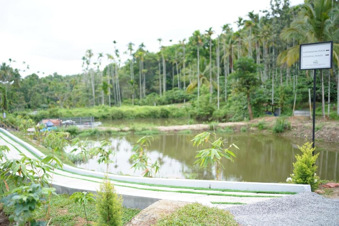Photo of Others in Krishnagiri
