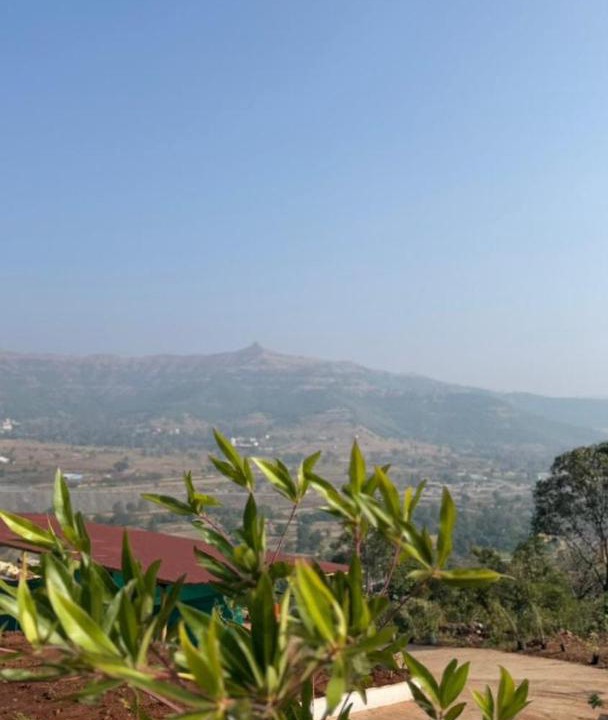 Photo of Others in Ambavna