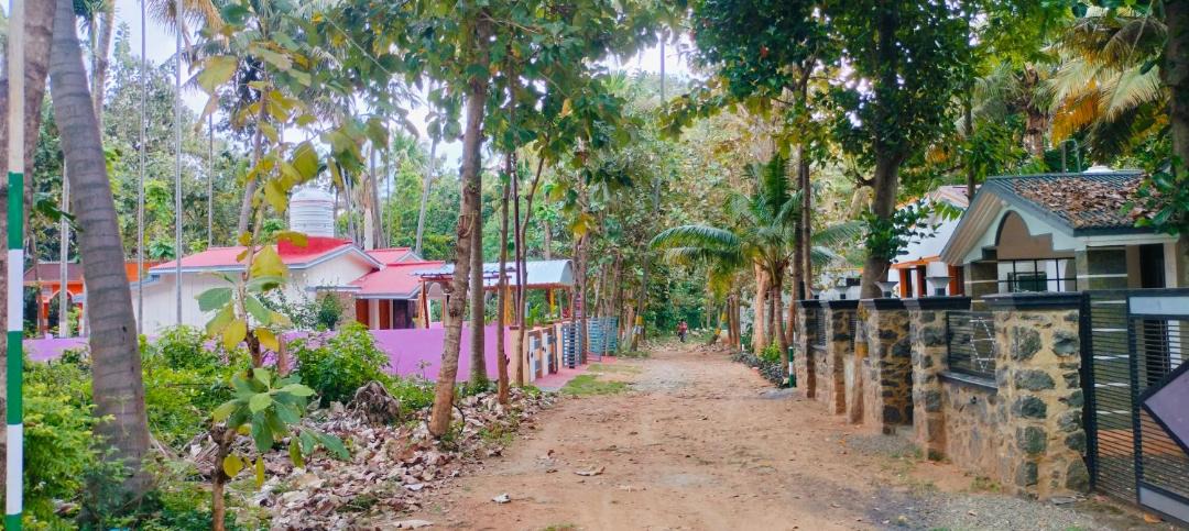 Photo of Others in Courtallam