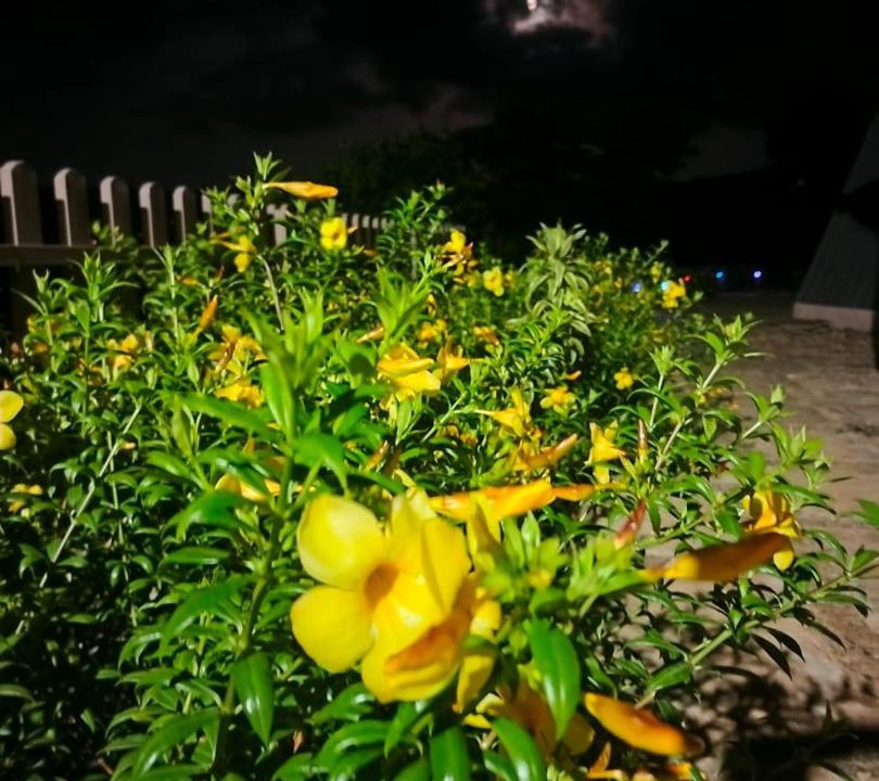 Photo of Outdoor in Bhor