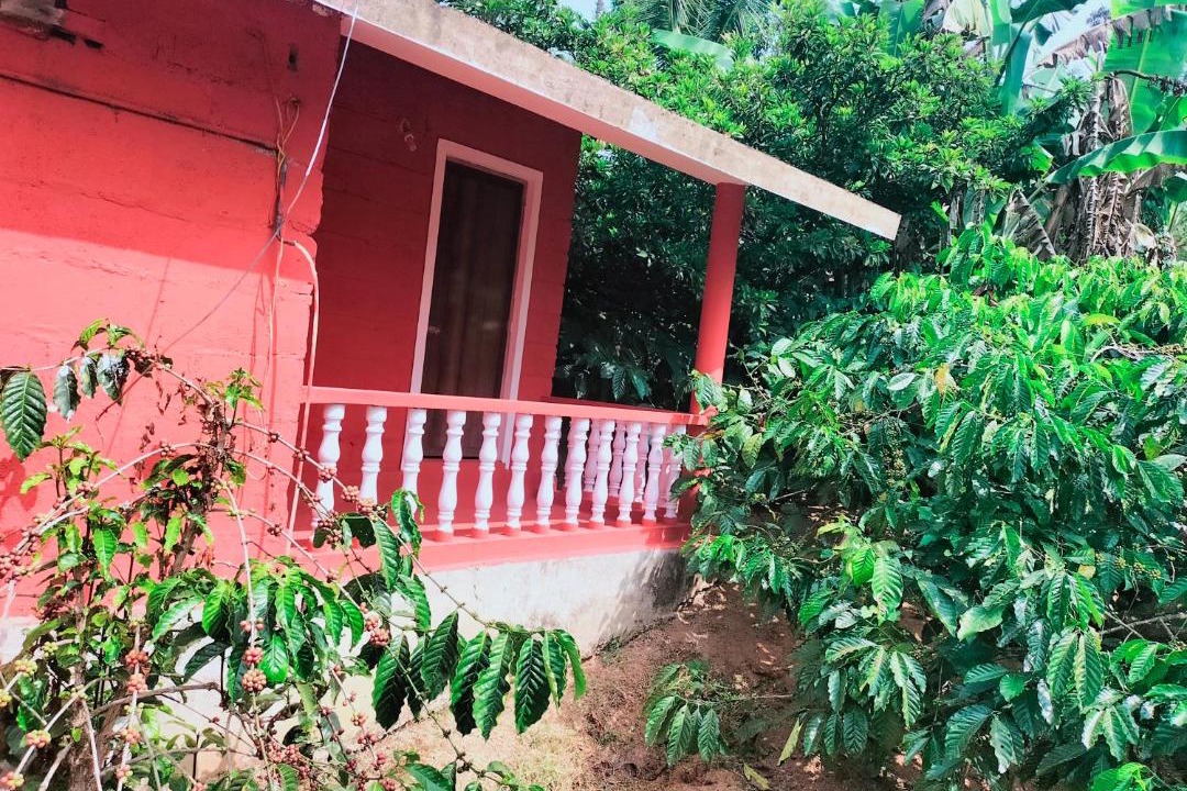 Photo of Others in Madikeri