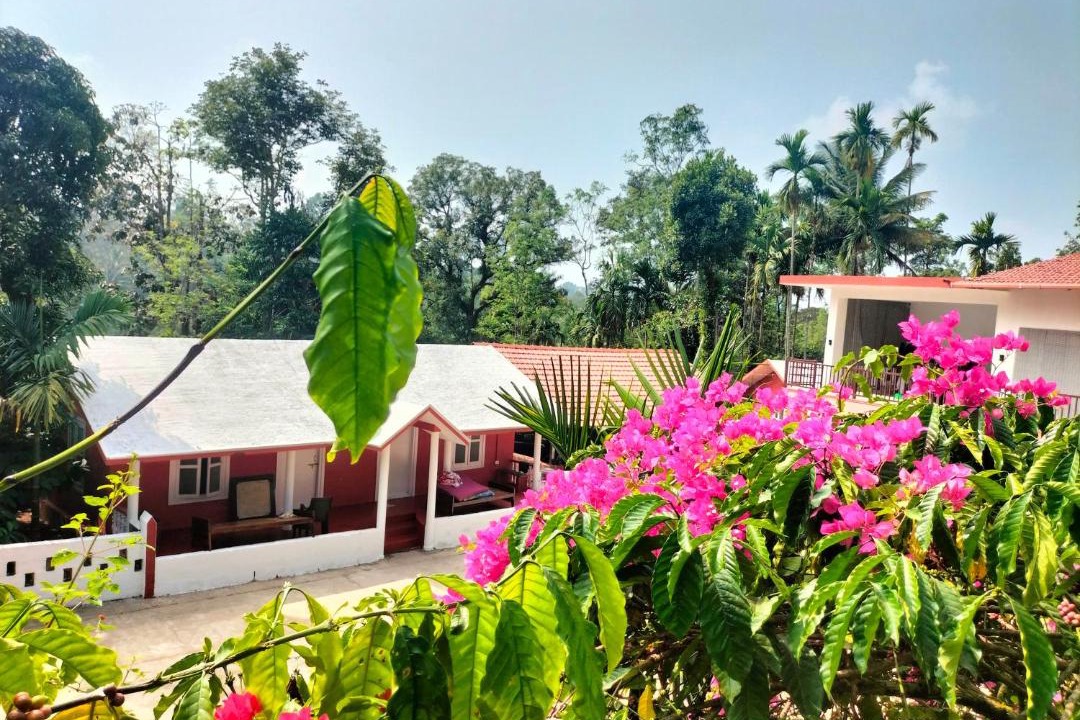 Photo of Others in Madikeri