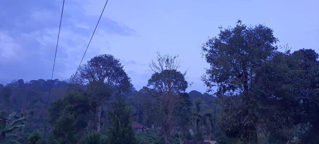 Photo of Others in Madikeri